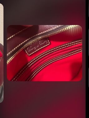 Dooney & Bourke Red Interior with Brown Leather Trim